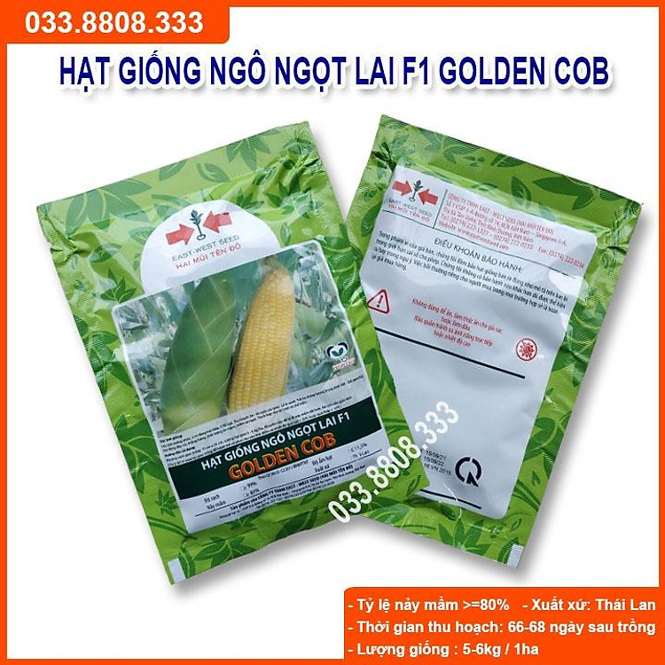 Hạt Giống Ngô Ngọt Lai F1 GOLDEN COB Năng Suất Cao 50gram