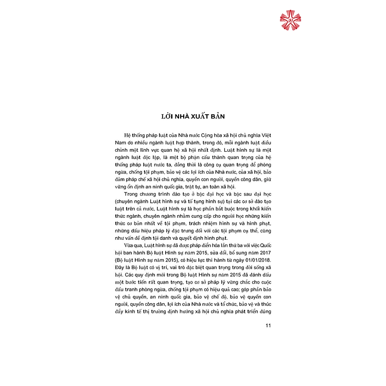 Tổng quan Luật Hình sự Việt Nam - Ảnh 3