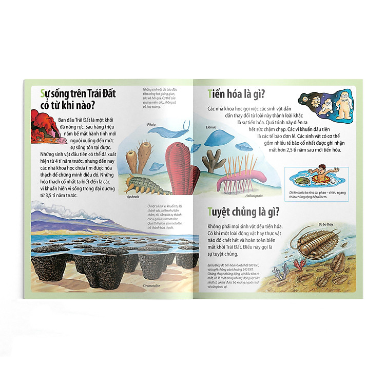 Em Muốn Biết Vì Sao - Cá Mọc Chân Và Những Câu Hỏi Khác Về Thời Tiền Sử - Ảnh 3