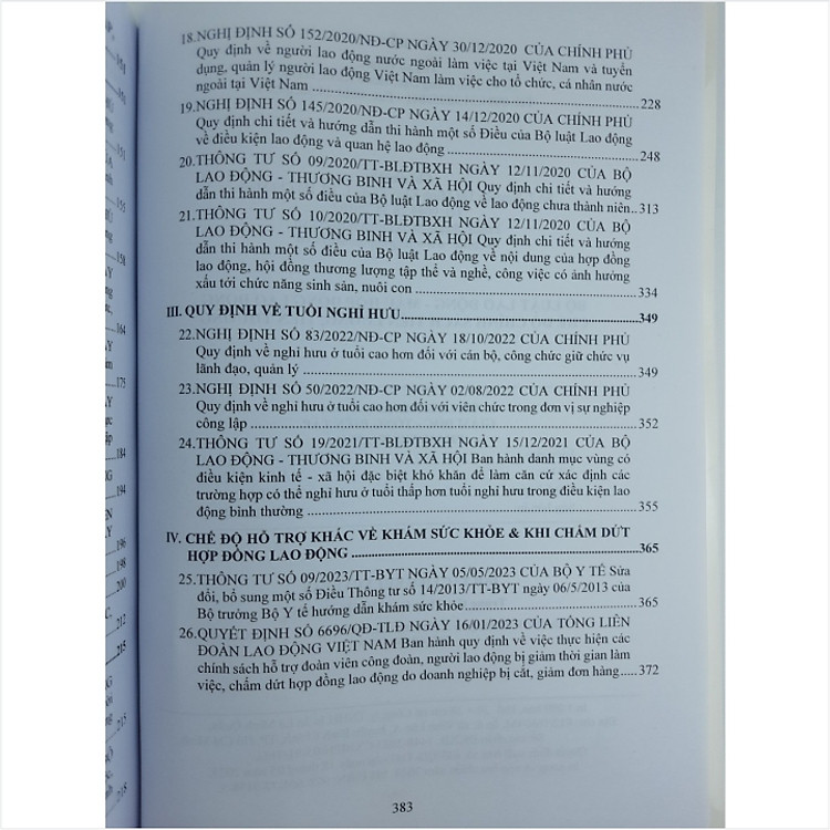 Bộ Luật Lao Động - Mẫu Hợp Đồng Lao Động - Chế Độ Chính Sách Tiền Lương, Tiền Thưởng - Ảnh 5