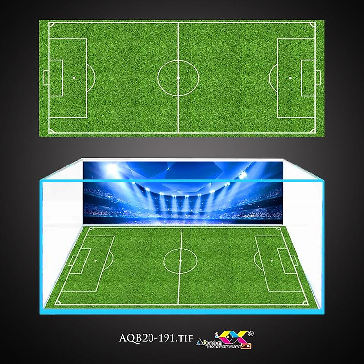 Tranh 3D Koifish, Tranh Dán Bể Cá,Sân bóng Euro , in tranh theo kích thước yêu cầu