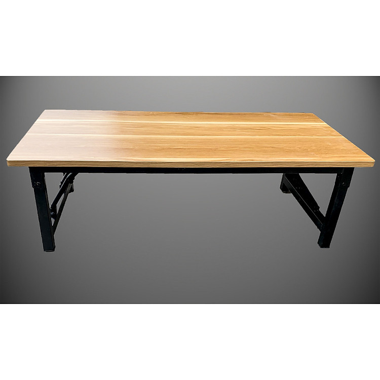 Bàn gấp thấp HT100