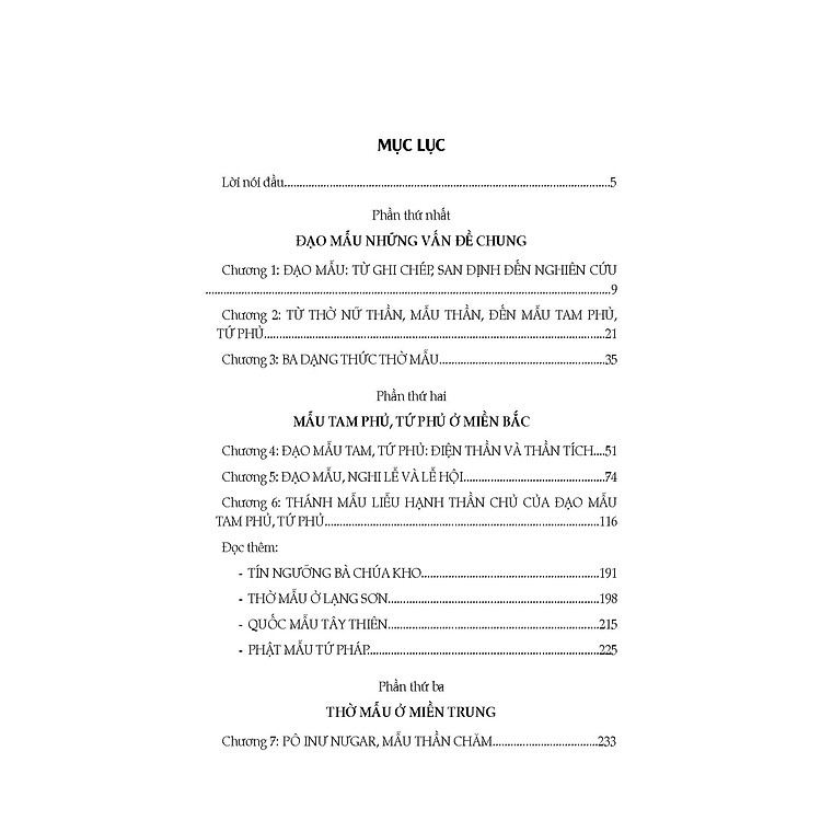 ĐẠO MẪU VIỆT NAM - Ảnh 6