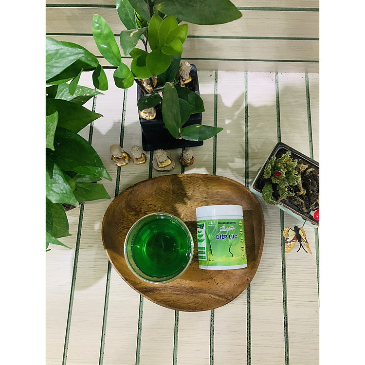 BỘT DIỆP LỤC COLLAGEN KHANG GIA