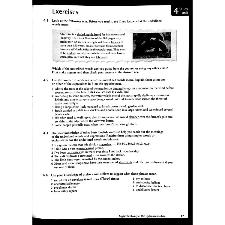 English Vocabulary in Use: Upper-Intermediate Book with Answers - Ảnh 4