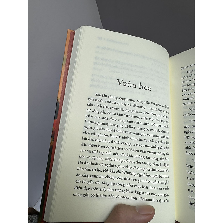 NGƯỜI TÌNH ÁC QUỶ - XỔ SỐ: HAY LÀ CUỘC PHIÊU LƯU CỦA JAMES HARRIS - Ảnh 4