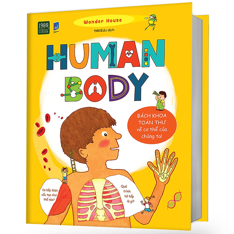 Human Body - Bách Khoa Toàn Thư Về Cơ Thể Chúng Ta - Ảnh 3