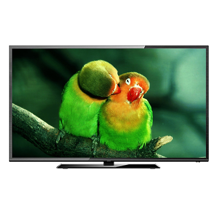 Tivi LED Asanzo 25 inch 25S200 - Hàng Chính Hãng