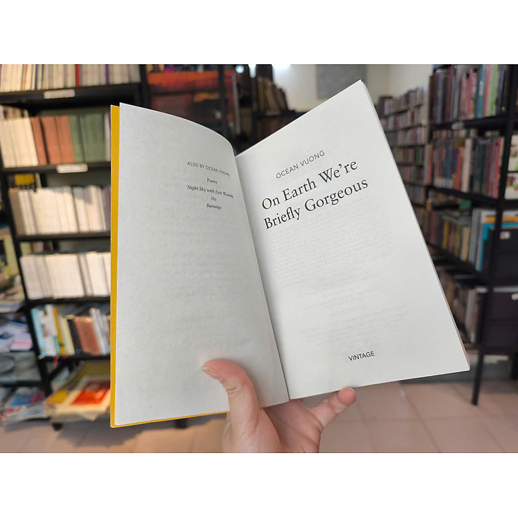 On Earth We’re Briefly Gorgeous - Ảnh 4