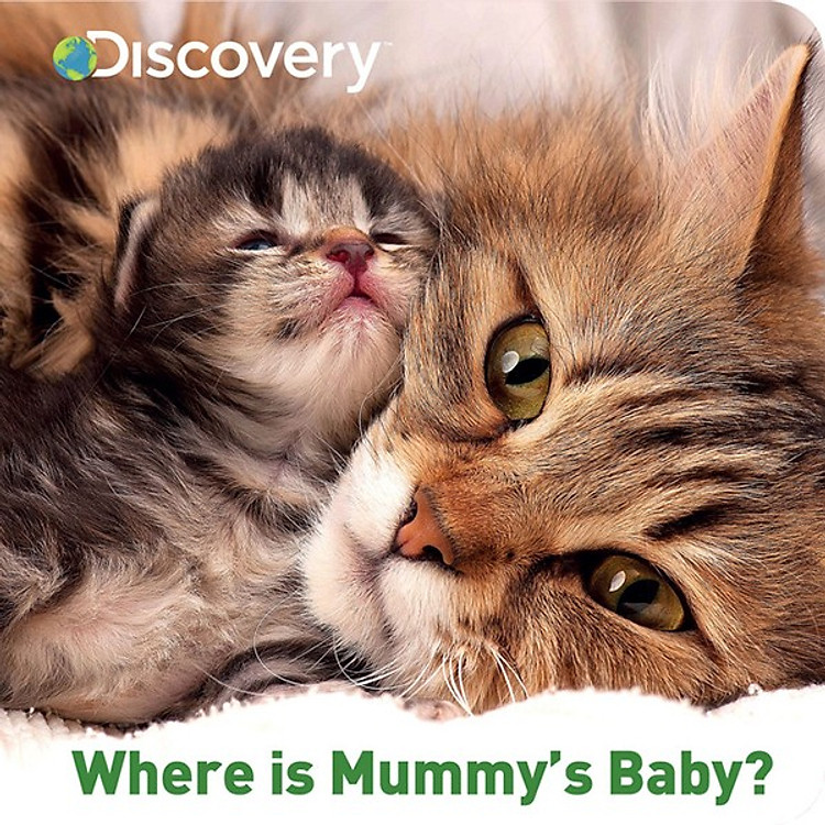 Sách Discovery Where is Mummy's Baby?