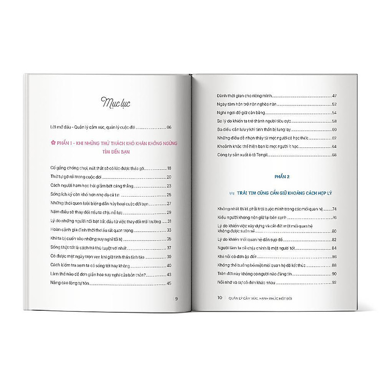 Quản Lý Cảm Xúc, Hạnh Phúc Một Đời - Ảnh 5