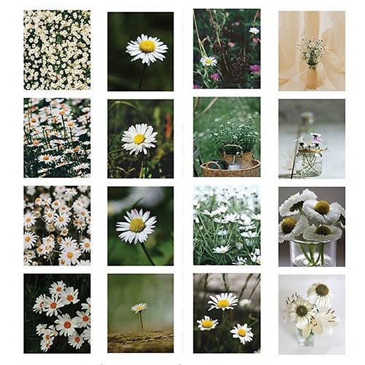 Không Ai Có Thể Làm Bạn Tổn Thương Trừ Khi Bạn Cho Phép - Ảnh 2