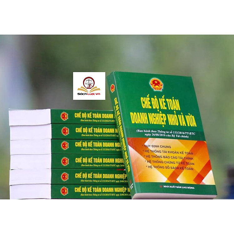 Chế Độ Kế Toán Doanh Nghiệp Nhỏ và Vừa (Ban Hành Theo Thông Tư 133/2016 Bộ Tài Chính) - Ảnh 2