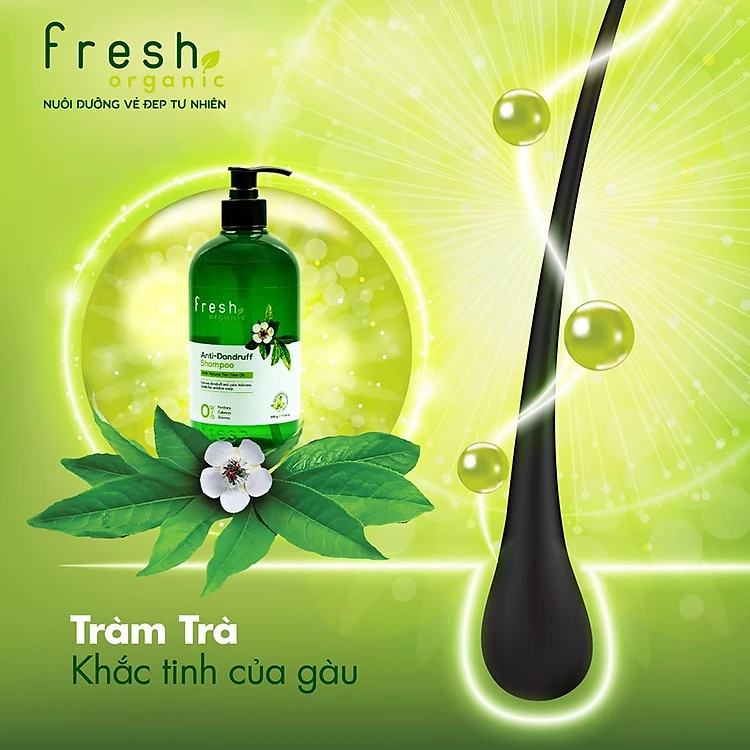 dầu gội Fresh tràm trà