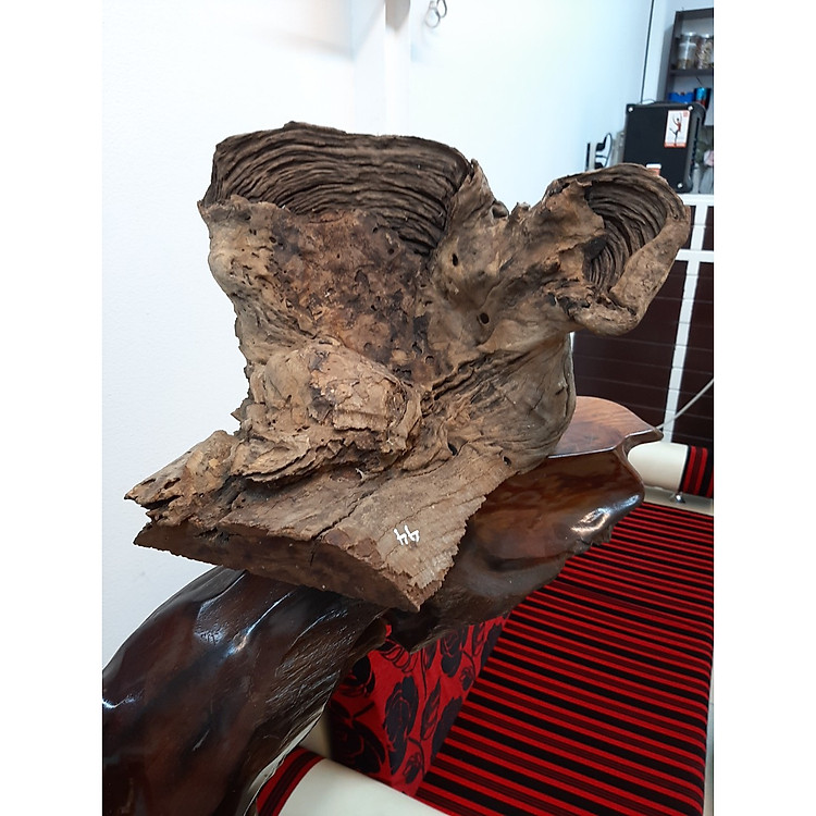 Lũa Hương Tự Nhiên - Xuất Xứ: Chư-Sê, Gia Lai - KT: 36*43*10cm - TL: 5kg- Trang Trí Nhà Cửa - Đá & Gỗ A2VINA - G103