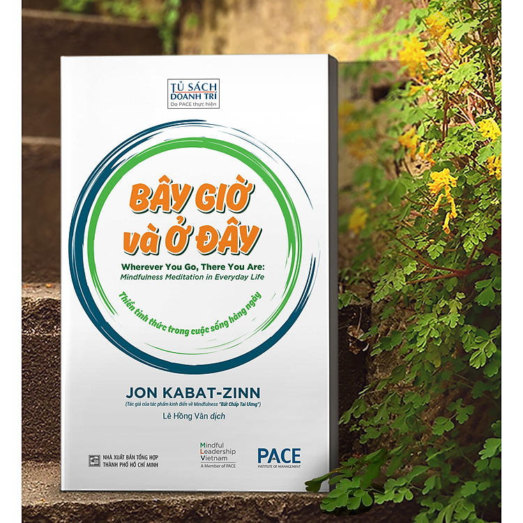 Bây giờ và Ở đây - Ảnh 2