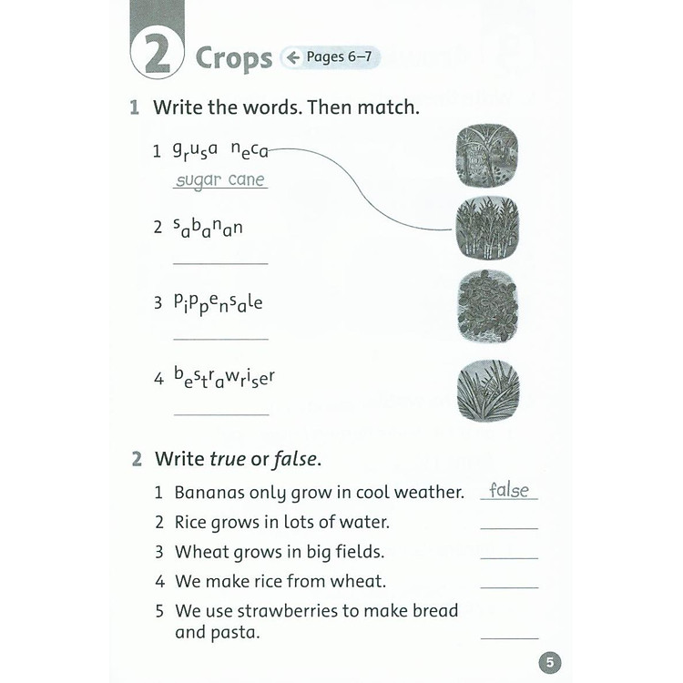 Oxford Read and Discover 2: Farms Activity Book - Ảnh 3