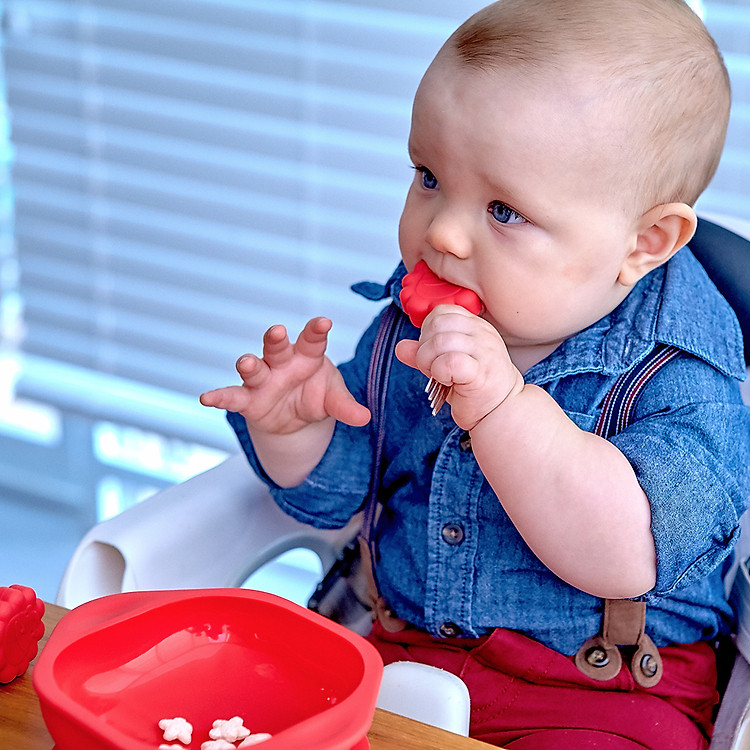 Bộ đồ ăn dặm Marcus & Marcus cho bé Chính hãng Giá rẻ - Hình ảnh 5