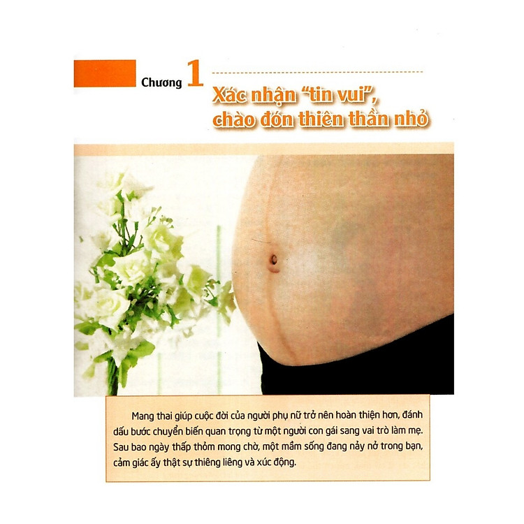 Tri Thức Thai Sản - Ảnh 4