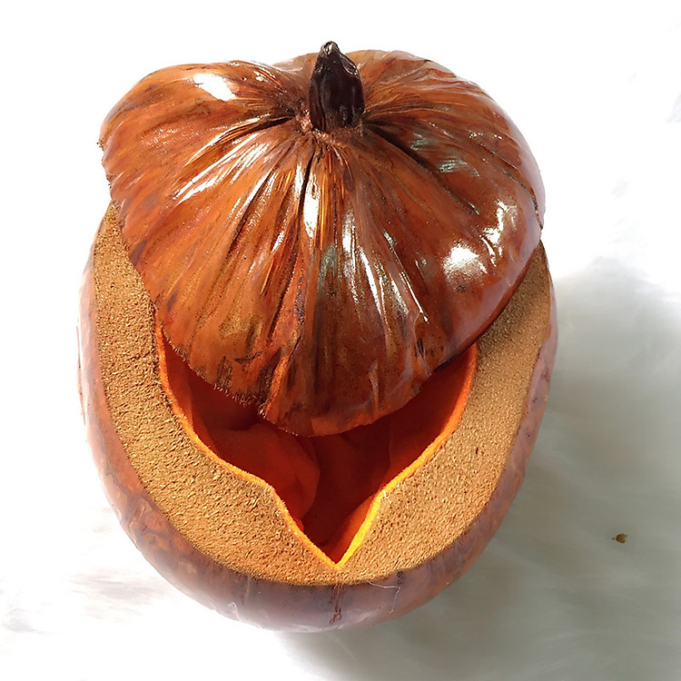 Vỏ bình trà trái dừa giữ ấm