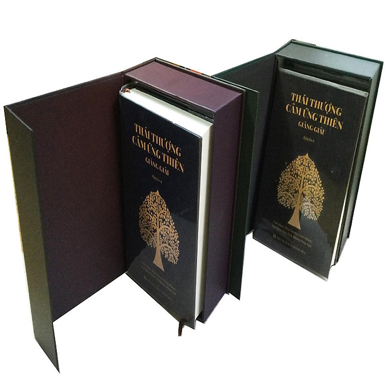 Bộ Thái Thượng Cảm Ứng Thiên Giảng Giải - Ảnh 2