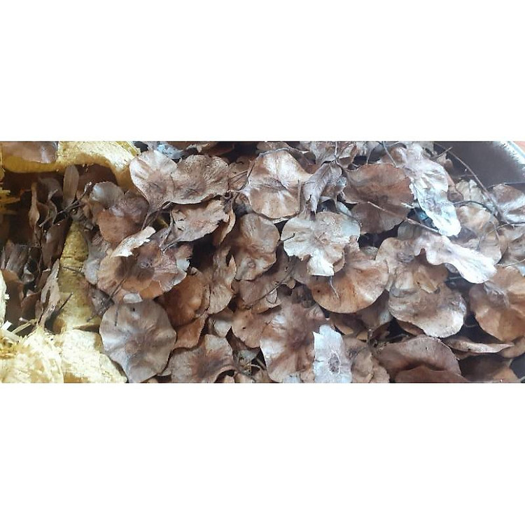 500 gram giáng hương