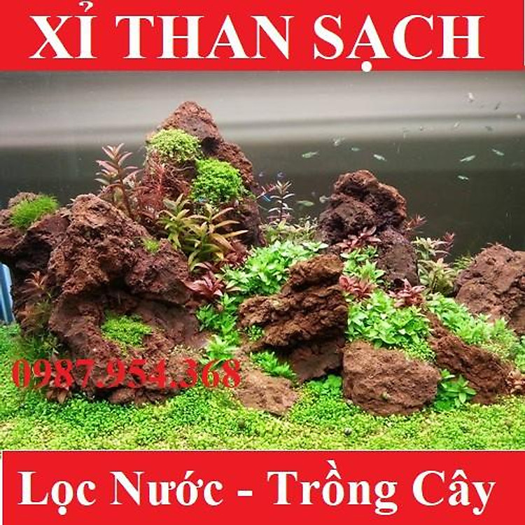 Xỉ Than Tổ Ong Trồng Cây, Lọc Nước Đã Qua Xử Lý