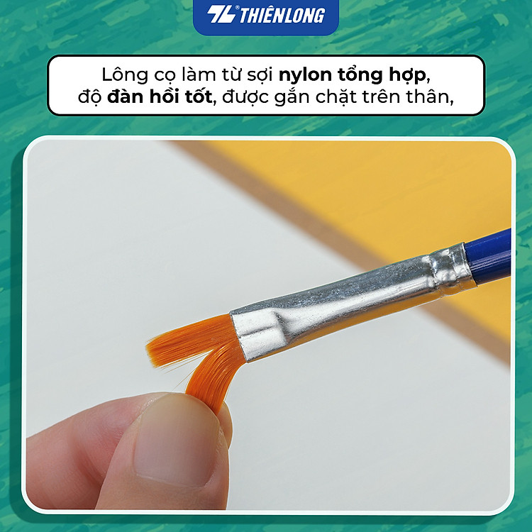 Cọ Vẽ Tròn Thiên Long Colokit BRW-C02 (10 chiếc) - Ảnh 4