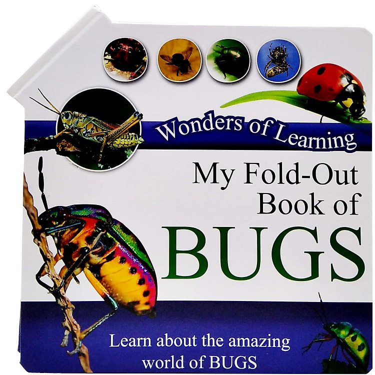 Wonder Of Learning - My Fold-Out Book Of Bugs - Ảnh 2