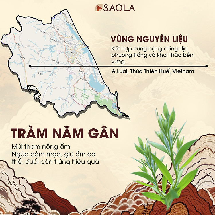 Cao Tràm Sao 11g - Balsam Thiên Nhiên Chính hãng Tiết kiệm - Hình ảnh 3