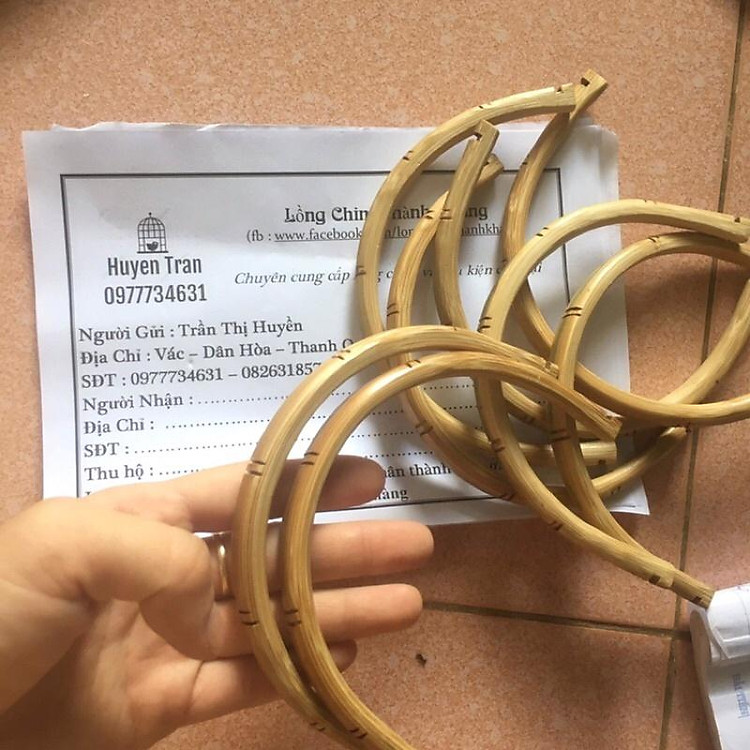 Cầu góc tre rẻ dành cho chim chào mào, chích choè