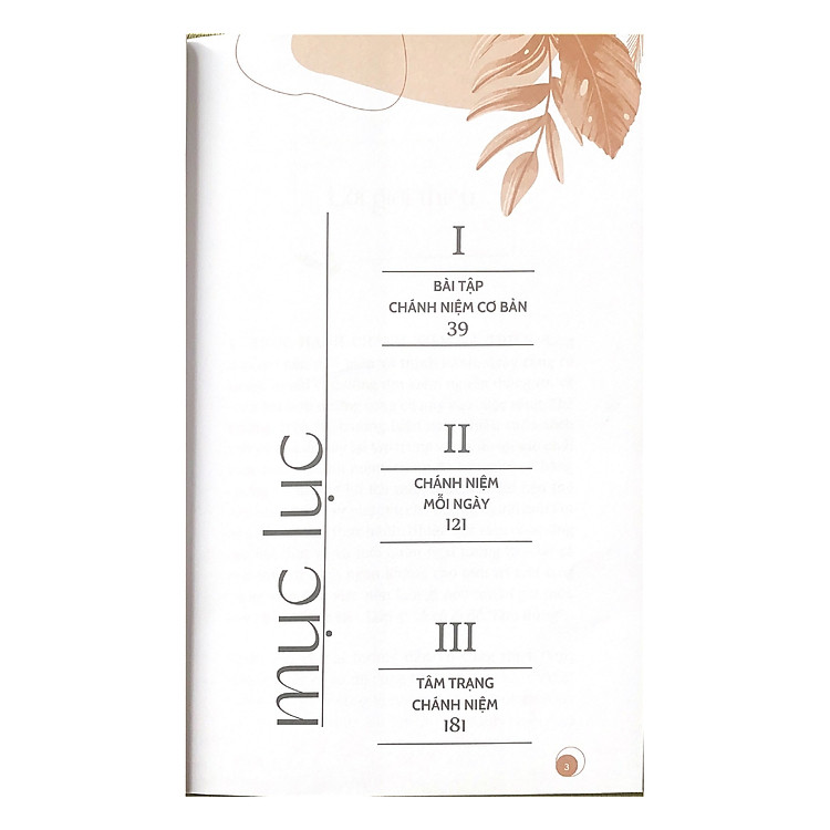 Thực Hành Chánh Niệm - Ảnh 5