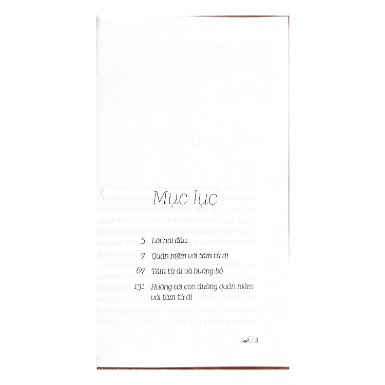 Quán Niệm Với Tâm Từ Ái - Ảnh 5