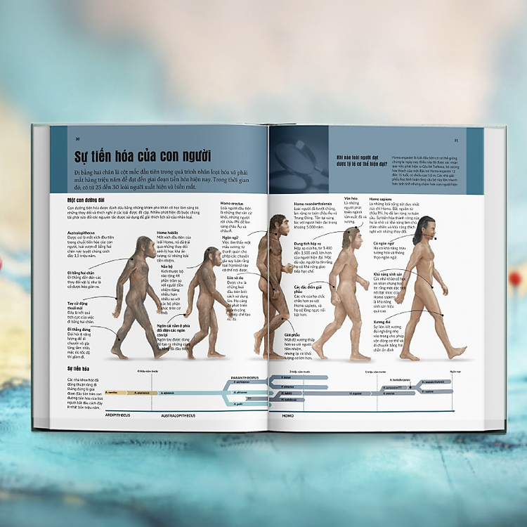 Lịch Sử - Bí Ẩn Của Lịch Sử (Mysteries In History) - Ảnh 2