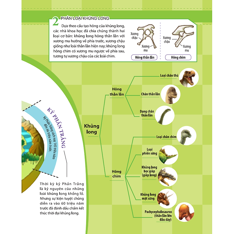 Kiến Thức Về Khủng Long - Khủng Long Tyrannosaurus Rex Tại Sao Được Gọi Là Bạo Chúa ? Tấn Công Và Phòng Thủ Của Khủng Long - Ảnh 6