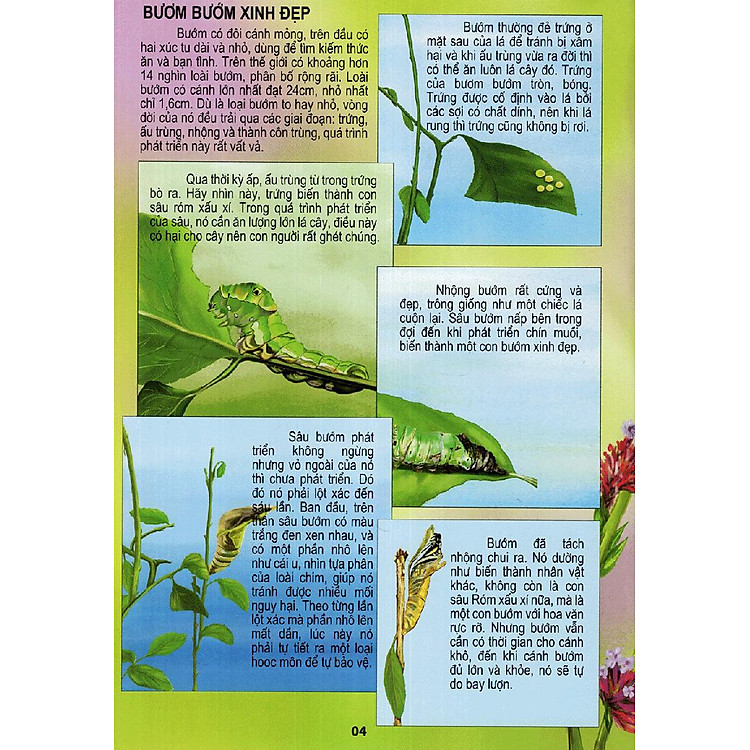 Thế Giới Động Vật Kì Thú - Ảnh 6