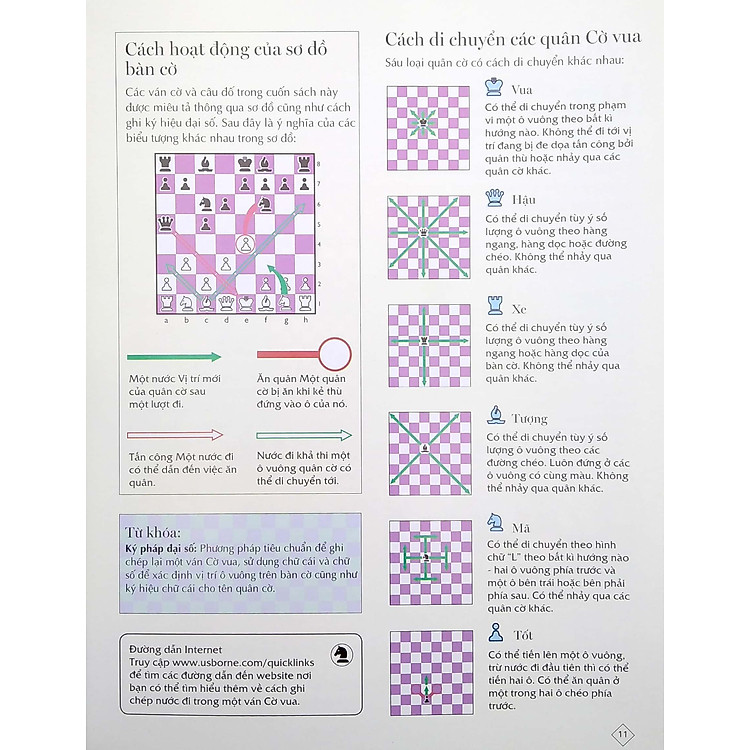 Cờ Vua - Những Bước Đi Đầu Của Kiện Tướng (2022) - Ảnh 4