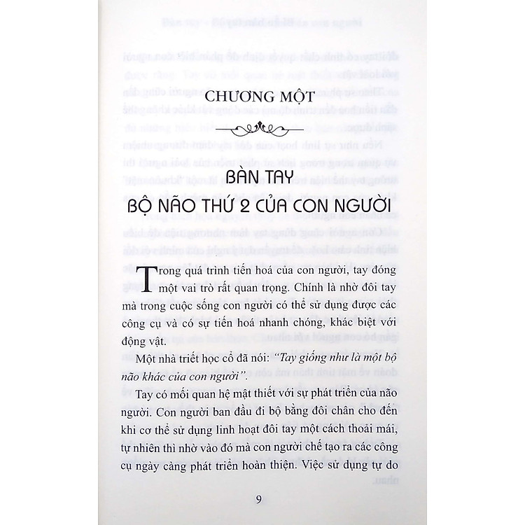 Bí Ẩn Bàn Tay - Ảnh 5