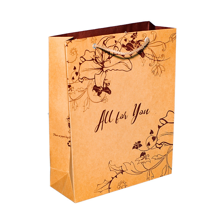 Túi Kraft KN210 (32x25x9.5 cm) - Ảnh 3