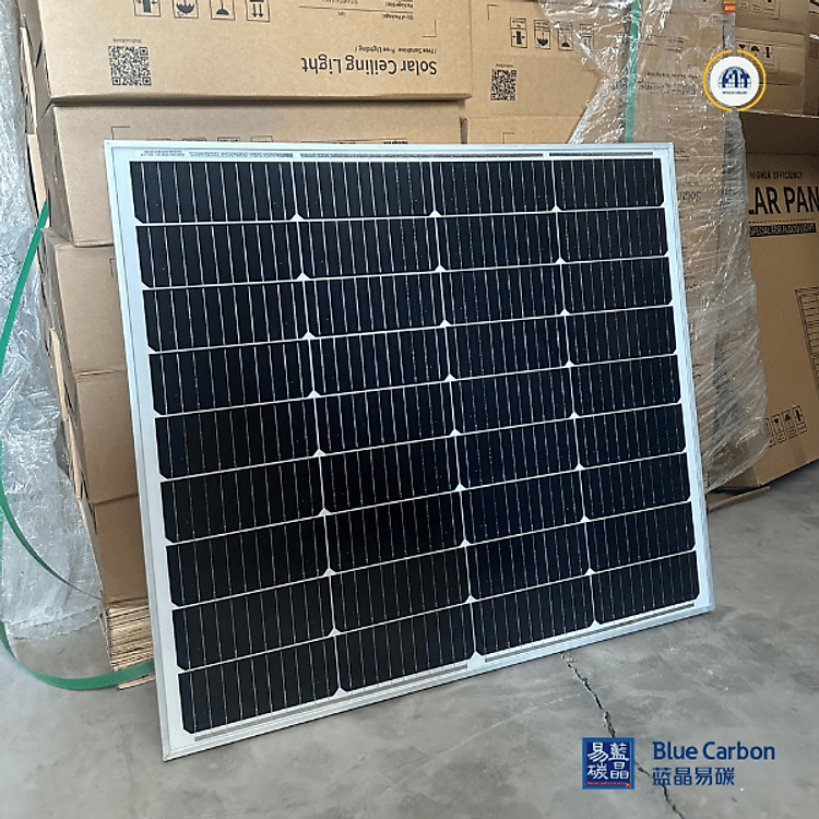 Tấm pin năng lượng mặt trời 100w - Chính hãng Blue Carbon