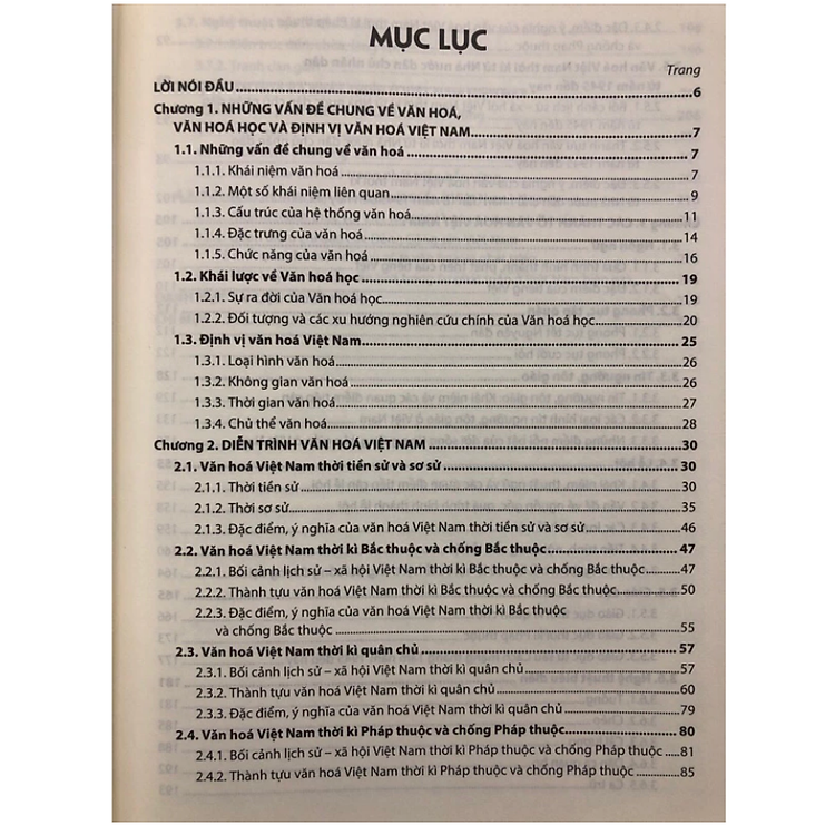 Giáo trình Cơ sở văn hóa Việt Nam - Ảnh 2