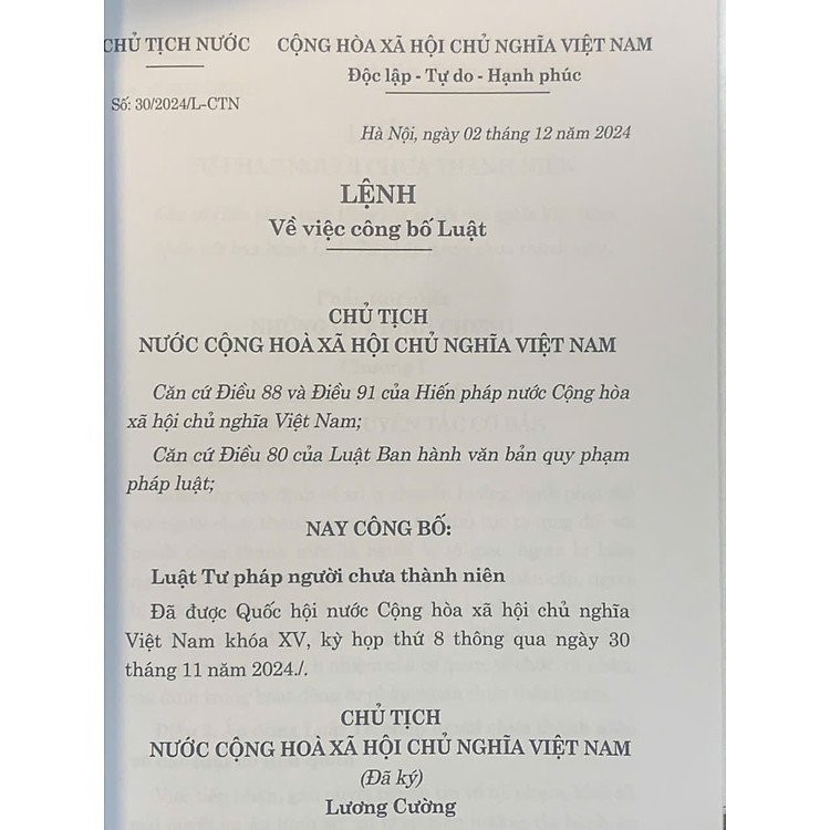 Luật Tư pháp Người Chưa Thành Niên Năm 2024 - Ảnh 2