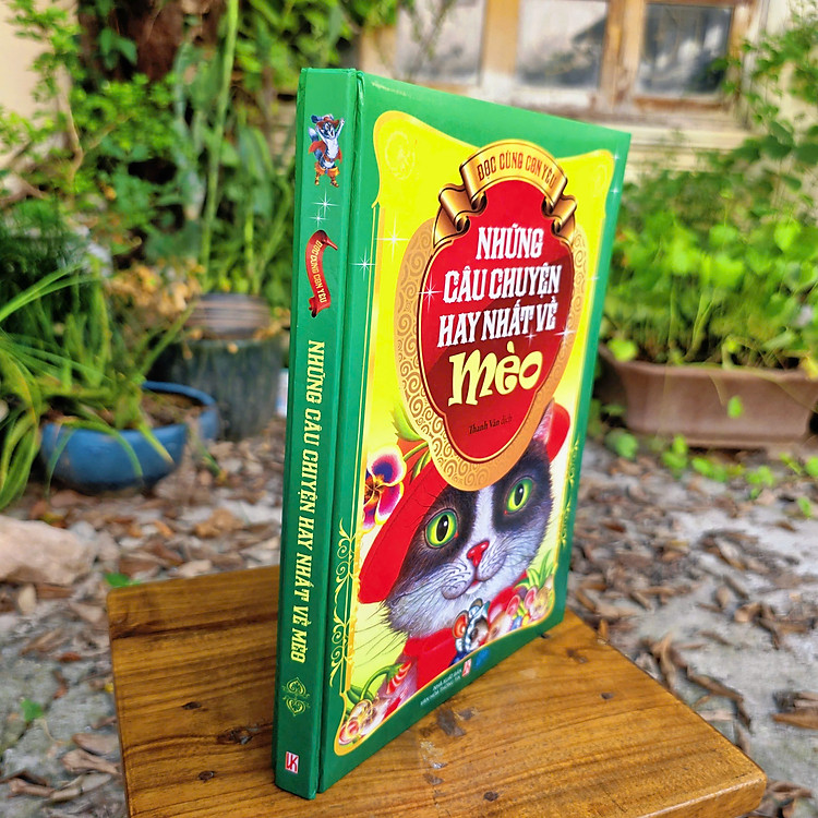 Những Câu Chuyện Hay Nhất Về Mèo - Ảnh 2