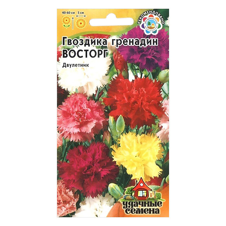 Hạt Giống Cẩm Chướng Kép Mix Gavrish (0.1g)