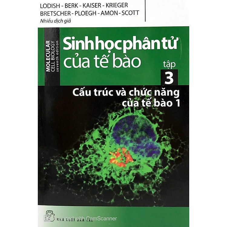 Sinh Học Phân Tử Của Tế Bào: Tập 3 - Cấu Trúc Và Chức Năng Của Tế Bào - Phần 1 (Tái Bản)
