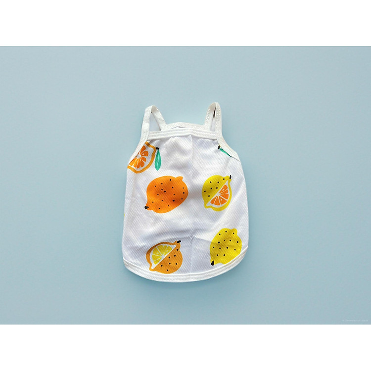 ÁO THUN HAI DÂY TRÁI CÂY THÔNG HƠI SIÊU CUTE TỪ 1-7.5KG DÀNH CHO THÚ CƯNG CHÓ MÈ