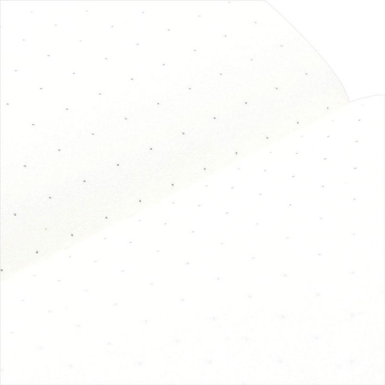 Sổ Tay Không Kẻ Chấm 80gsm (300 trang) - Blueangel TEA-GS55 - Ảnh 6