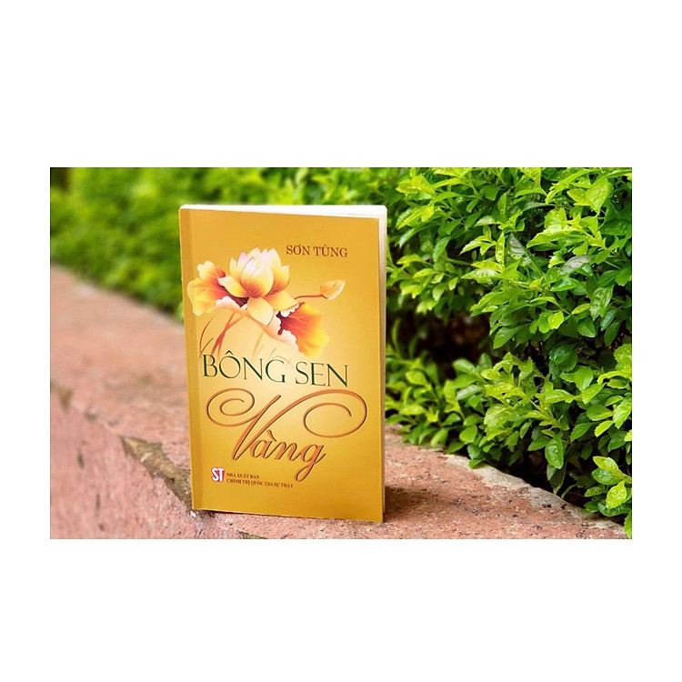 BÔNG SEN VÀNG – Sơn Tùng - Ảnh 2