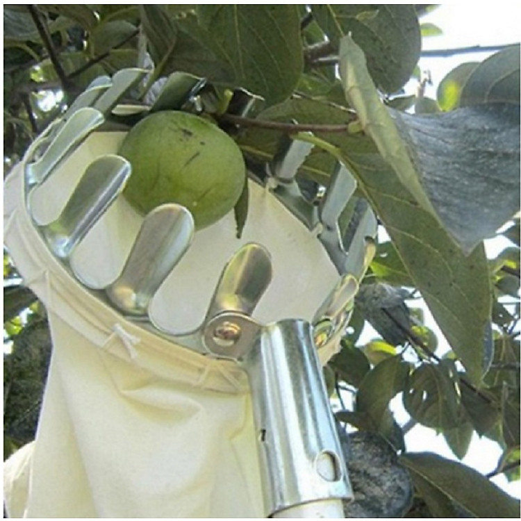 Bộ dụng cụ hái quả, trái cây tiện lợi