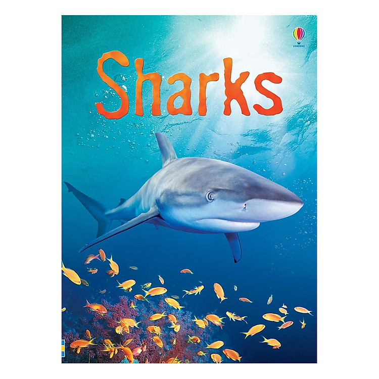 Sách Usborne Sharks